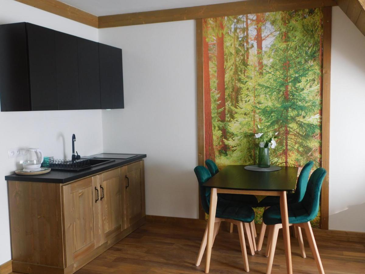 Apartamenty Regle 부코비나 타트잔스카 외부 사진